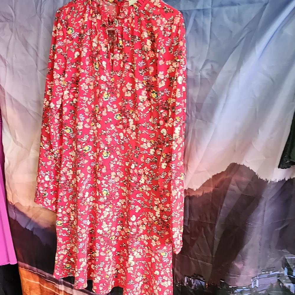 LOFT Floral Red Ruffled Dress - Picture 1 of 6